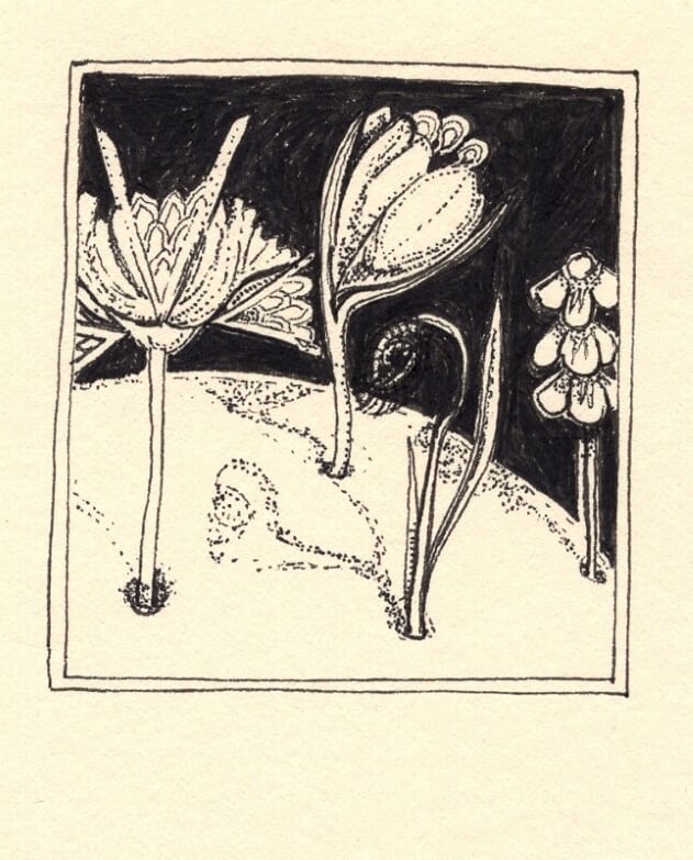 Signs, life, omens, presence, ghosts, night gardens, hooe, beginnings, miniatures, pen & ink, small is beautiful